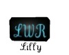 [LWR]LWR Plaque