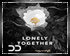 (D) Avicii|Lonely Togeth