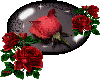 Rose for love
