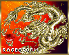 [RS] Gold Dragon B. Ring
