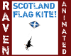 SCOTLAND FLAG KITE!