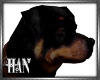 [H]Rottweiler ►Furn