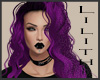 Purple Dotty