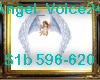 Angel_Voice24