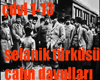 CALIN DAVULLARI