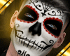 Catrina Asteri Wine