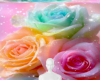 Glitter pastel rose bg