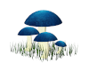 Blue Giant Mushrooms