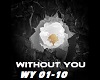 Avicii - Without You D+S