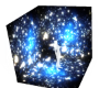 Blue Stars
