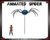 Animated Spider