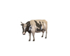 Cow Figure