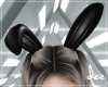 !D Animated Bunny Ears