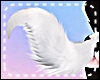 *Y* Faye Tail - 02