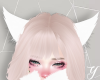 Y| Fox Ears White