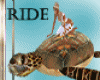TURTLE RIDEABLE