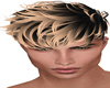 Req Wild Hair