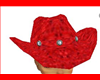New Cowgirl Hat Redfelt