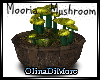 (OD) Mooria mushroom 2