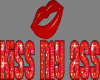 kiss my a** banner