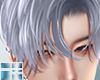 Ⓩ Paiman Silver