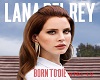 Lana-Del-Rey_Born-to-Die