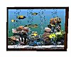 Animated Fish Aquarium