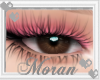 M| Brown Eyes
