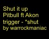 Shut it up-Pitbull