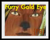 {PB}Furry Gold Eyes Male