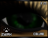 Z; Leader Eyes