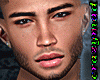 RL SNK Halls Head