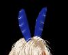 !C-Blue Bunny Ears