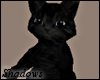 SH* Black Shoulder Cat