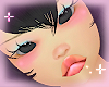 ! bluey T5