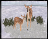 2023 Winter Deer