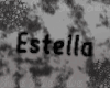Estella Custom Pop