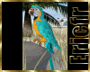 [Efr] Parrot 3