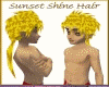 Sunset Shine Male Hair
