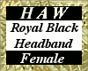Royal Black Headband - F