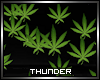 Weed Room Particles