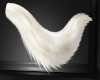 White & Gold Tail