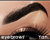 Y: HD brows | curved