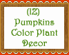 IZ Pumpkins Color Plant