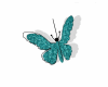 Teal butterfly