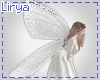 White Fairy Wings