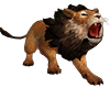 African Lion