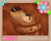 !R; Patchwork Fur
