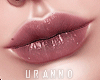 U. Rocket Lips IV