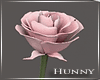 H. Pink Rose Single